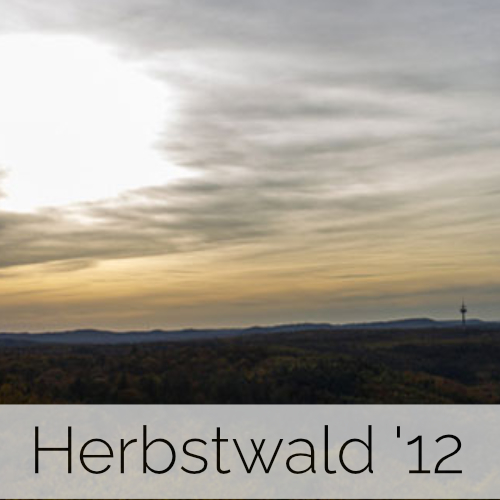 Herbstwald 2012 (Pfalz)