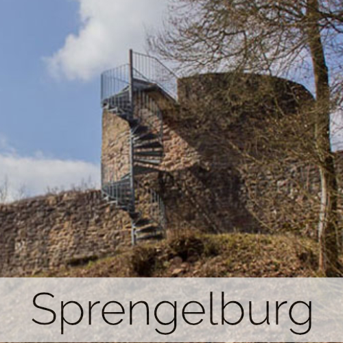 Sprengelburg (Pfalz)