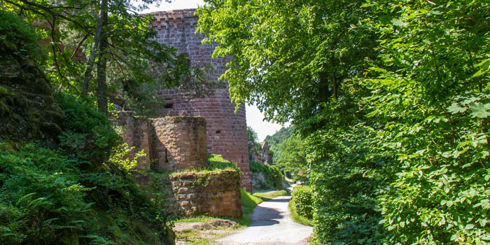 Burg Altdahn