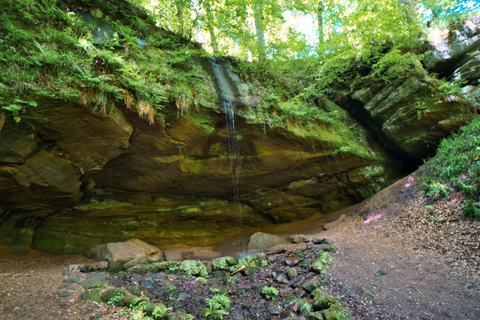 Bärenhöhle bei Rodalben (Pfalz)