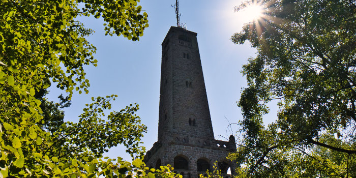 Bismarckturm (Pfalz)