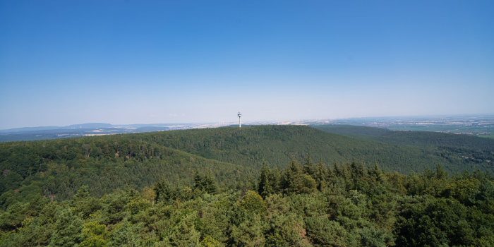 Bismarckturm (Pfalz)