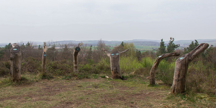 Drei-Berge-Blick (Pfalz)
