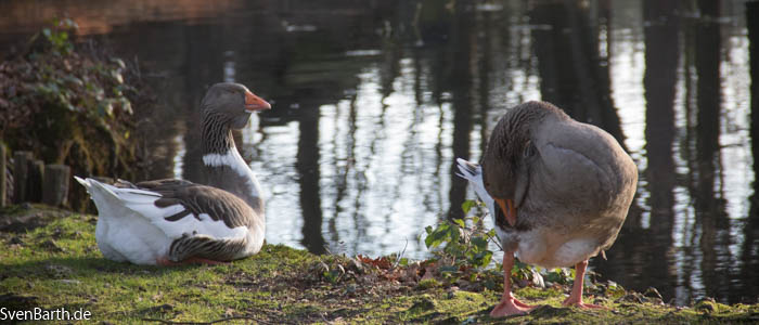 Englischer Garten Eulbach (Odenwald)