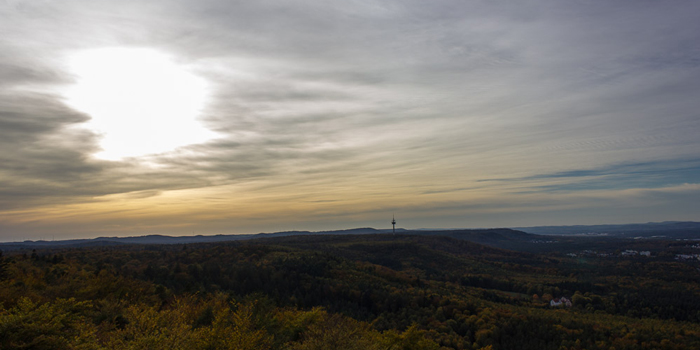 Herbstwald 2012 (Pfalz)