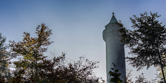 Herbstwald 2012 (Pfalz)