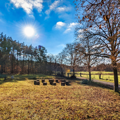 Fürstengrab (Pfalz)