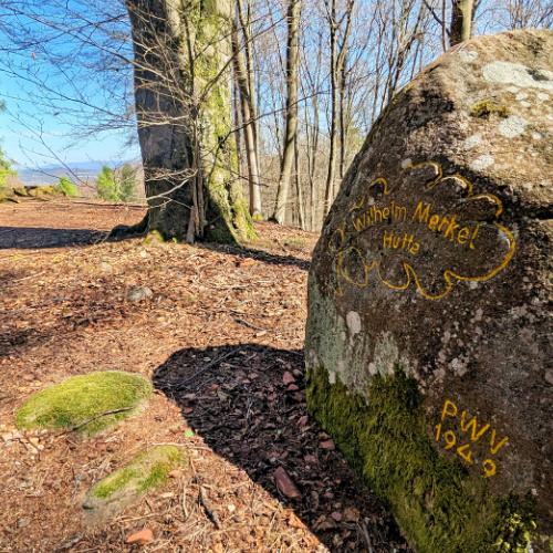 Kleiner Humberg Kaiserslautern: Wandern & Infos