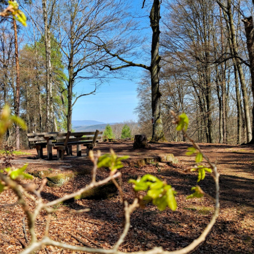 Kleiner Humberg Kaiserslautern: Wandern & Infos