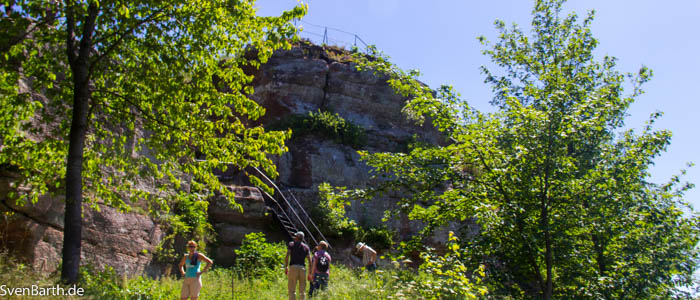 Löwenstein (Elsass)