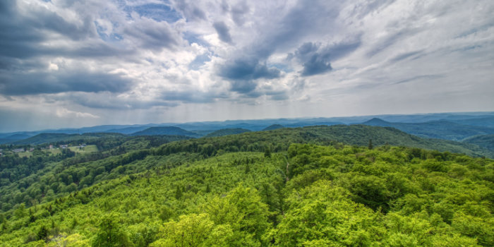 Luitpoldturm (Pfalz)