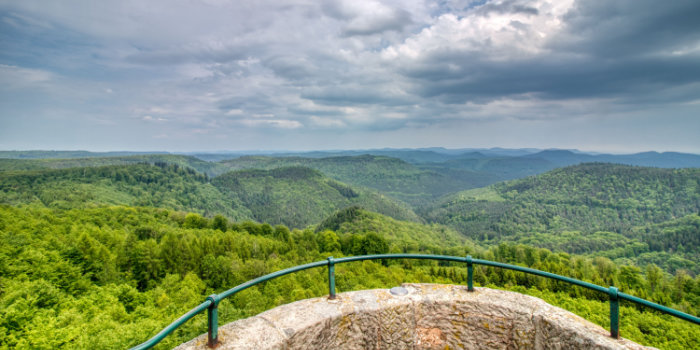 Luitpoldturm (Pfalz)