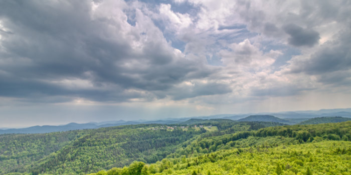 Luitpoldturm (Pfalz)