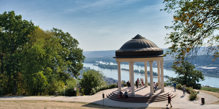 Niederwalddenkmal (Rheinhessen)