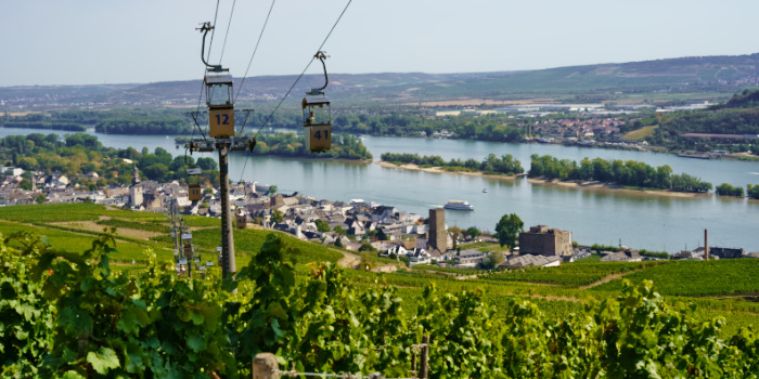 Niederwalddenkmal (Rheinhessen)