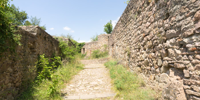 Rheingrafenstein (Pfalz)