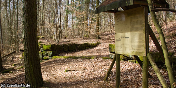 Römische Höhensiedlung (Pfalz)