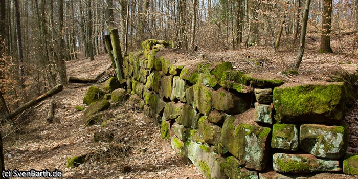 Römische Höhensiedlung (Pfalz)