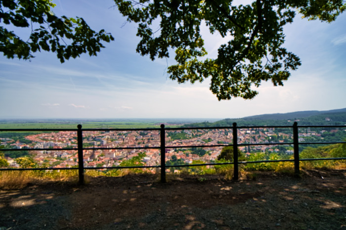 Bad Dürkheim Rundweg (Pfalz)