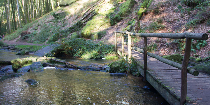 Karlstal im Sommer (Pfalz)