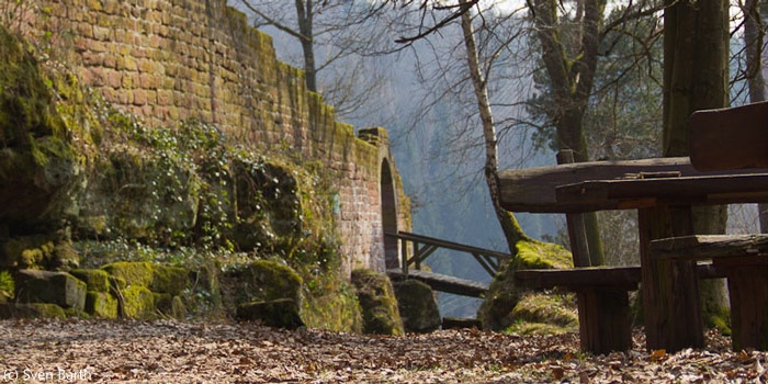 Steinenschloss (Pfalz)