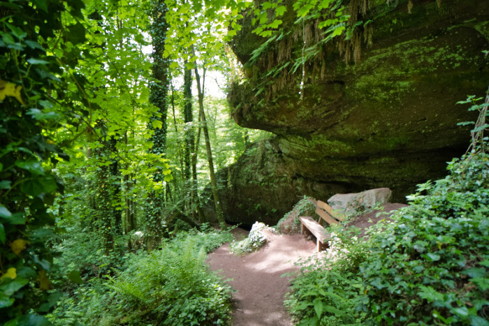 Teufelspfad bei Pirmasens (Pfalz)