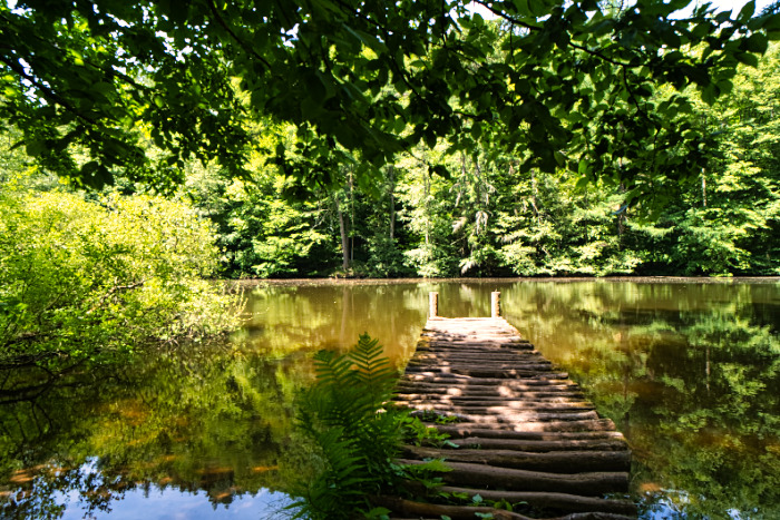Teufelspfad bei Pirmasens (Pfalz)