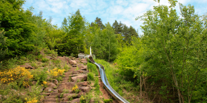 Teufelstisch (Pfalz)