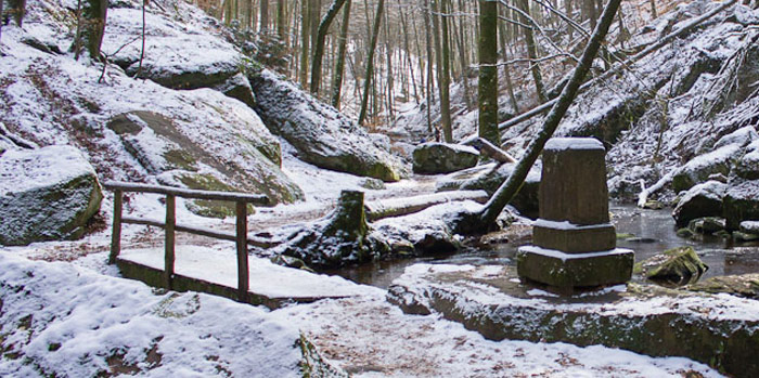 Karlstal im Winter (Pfalz)