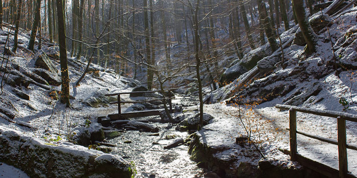 Karlstal im Winter (Pfalz)