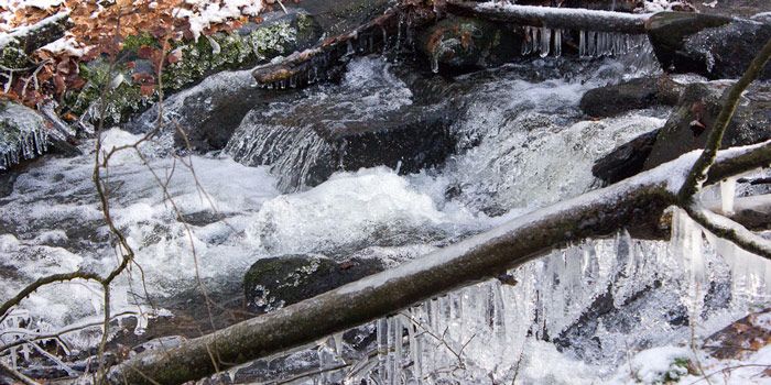 Karlstal im Winter (Pfalz)