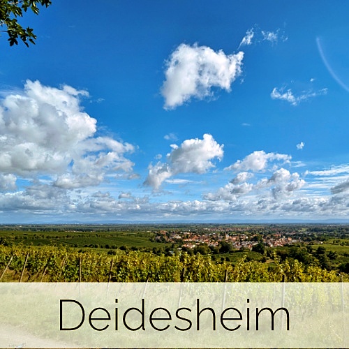 Deidesheim (Pfalz)