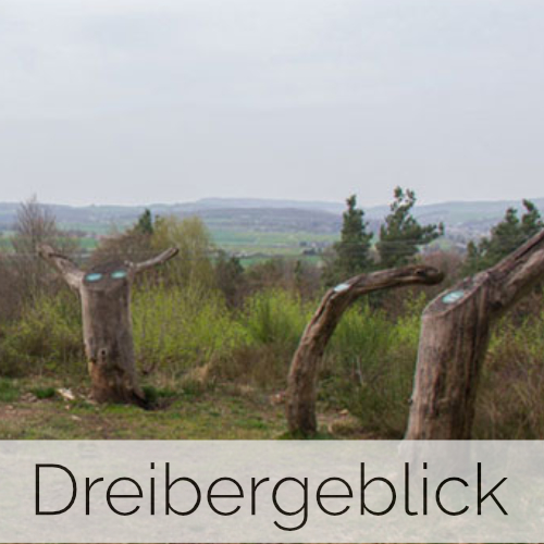Drei-Berge-Blick (Pfalz)