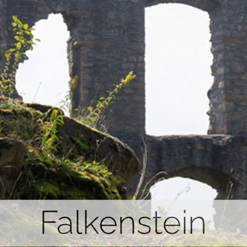 Falkenstein (Pfalz)