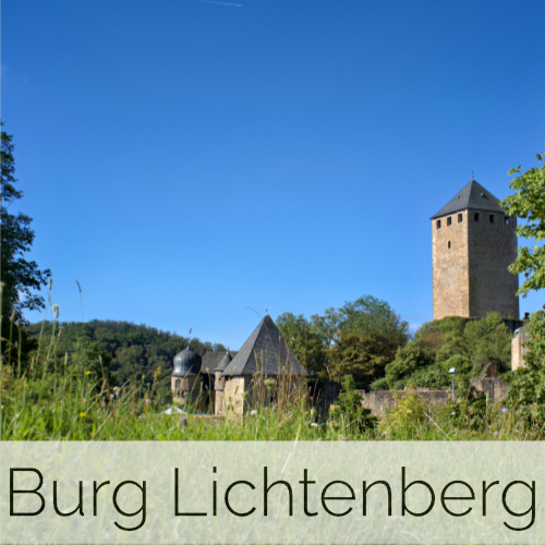 Burg Lichtenberg (Pfalz)