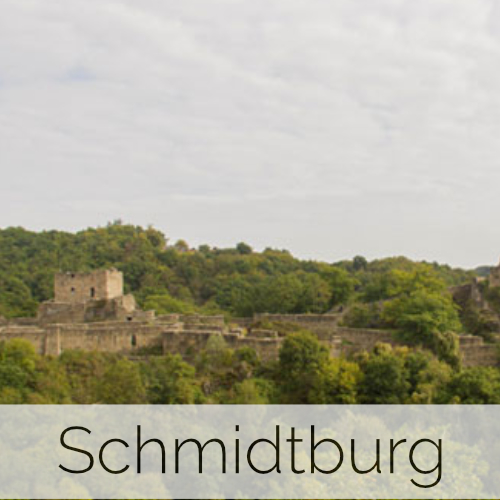 Schmidtburg (Rheinland-Pfalz)