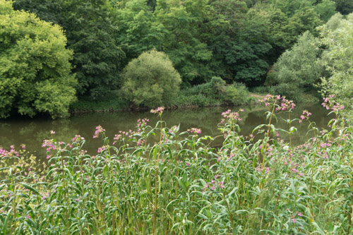 Impression 3 von Bad Kreuznach (Pfalz)