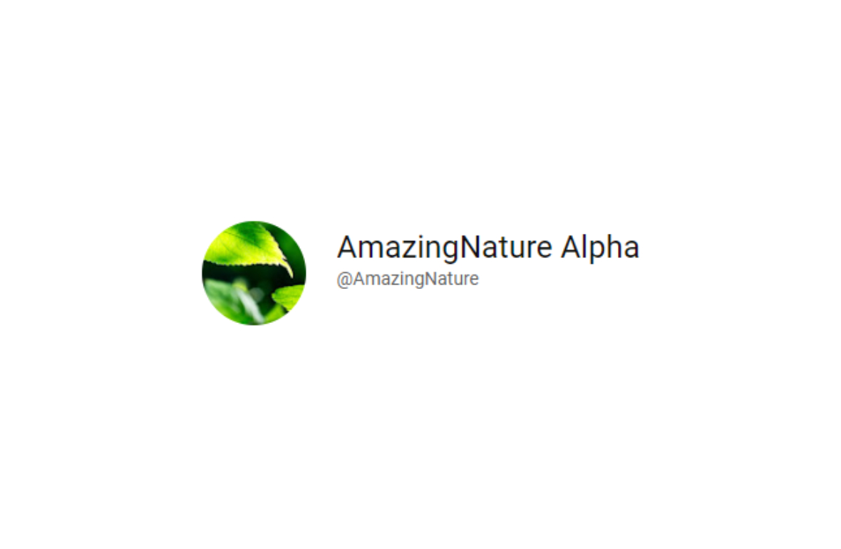 Logo Amazing Nature Alpha